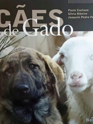 Cães de Gado de Joaquim Pedro Ferreira