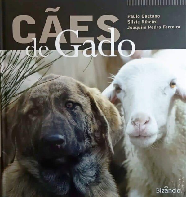 Cães de Gado de Joaquim Pedro Ferreira